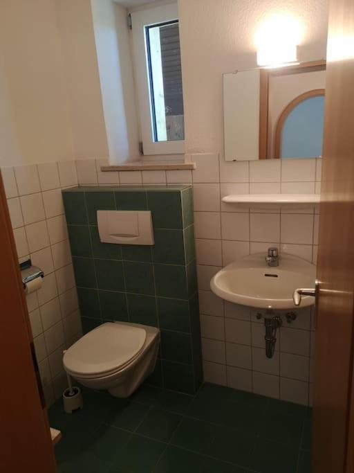Grosszuegiges Haus Angrenzend An Naturschutzgebiet Immenstadt im Allgäu エクステリア 写真